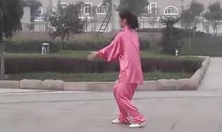 陈氏太极拳老架二路 陈氏太极拳老架二路