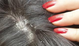 好用的洗发水排行榜 好用的洗发水排行榜