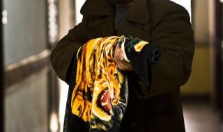 速度与激情2013年上映 最新电影2013已上映