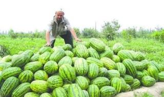 水果之乡化妆品 水果之乡化妆品