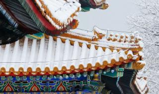 北京迎来今年首场雪