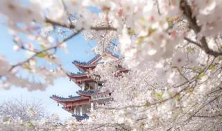 上海踏青好去处 上海踏青好去处