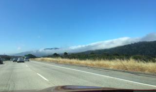 我们的激情 我们的激情