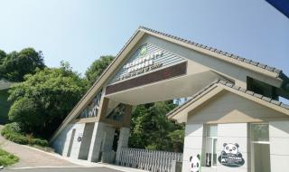 雅安碧峰峡 雅安碧峰峡