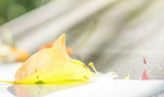 伤感头像和网名 伤感头像和网名