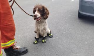 搜救现场消防员受伤 搜救现场消防员受伤