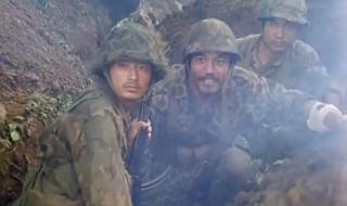 关于对越自卫反击的电影 自卫反击战电影大全