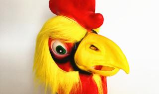 什么动物毛最多 块儿八毛是什么生肖