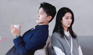 从结婚开始恋爱有多少集 从结婚开始恋爱内容